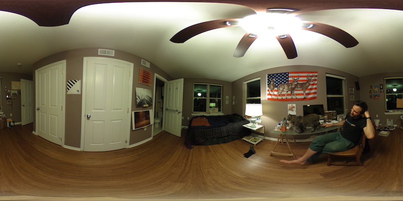 rzRoomDownsample